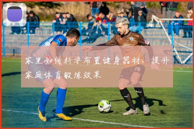 家里如何科学布置健身器材，提升家庭体育锻炼效果